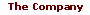 About the company